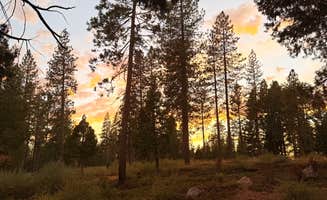 Ashlyn H.'s photo of a dispersed camping area at Top of Arnold - FR 5N56 Dispersed near Avery, CA