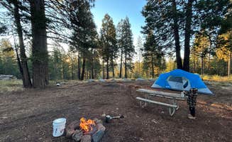 Raymond M.'s photo of tent camping at Top of Arnold - FR 5N56 Dispersed near Sutter Creek, CA