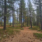 Review photo of Top of Arnold - FR 5N56 Dispersed by Kevin C., November 11, 2025