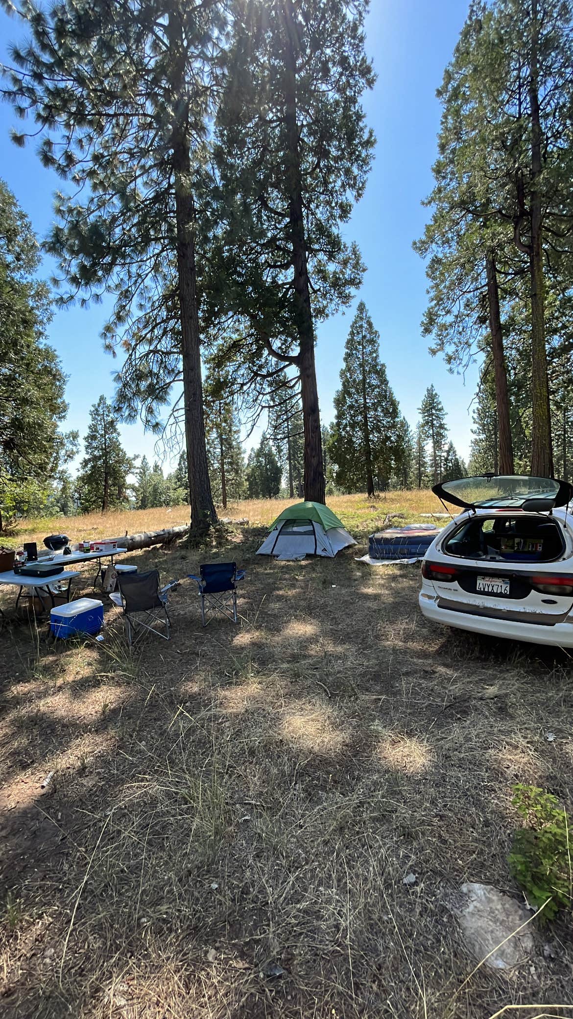 Damien M.'s photo of tent camping at Top of Arnold - FR 5N56 Dispersed near Angels, CA