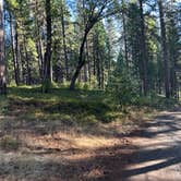 Review photo of Top of Arnold - FR 5N56 Dispersed by Raymond M., October 5, 2025
