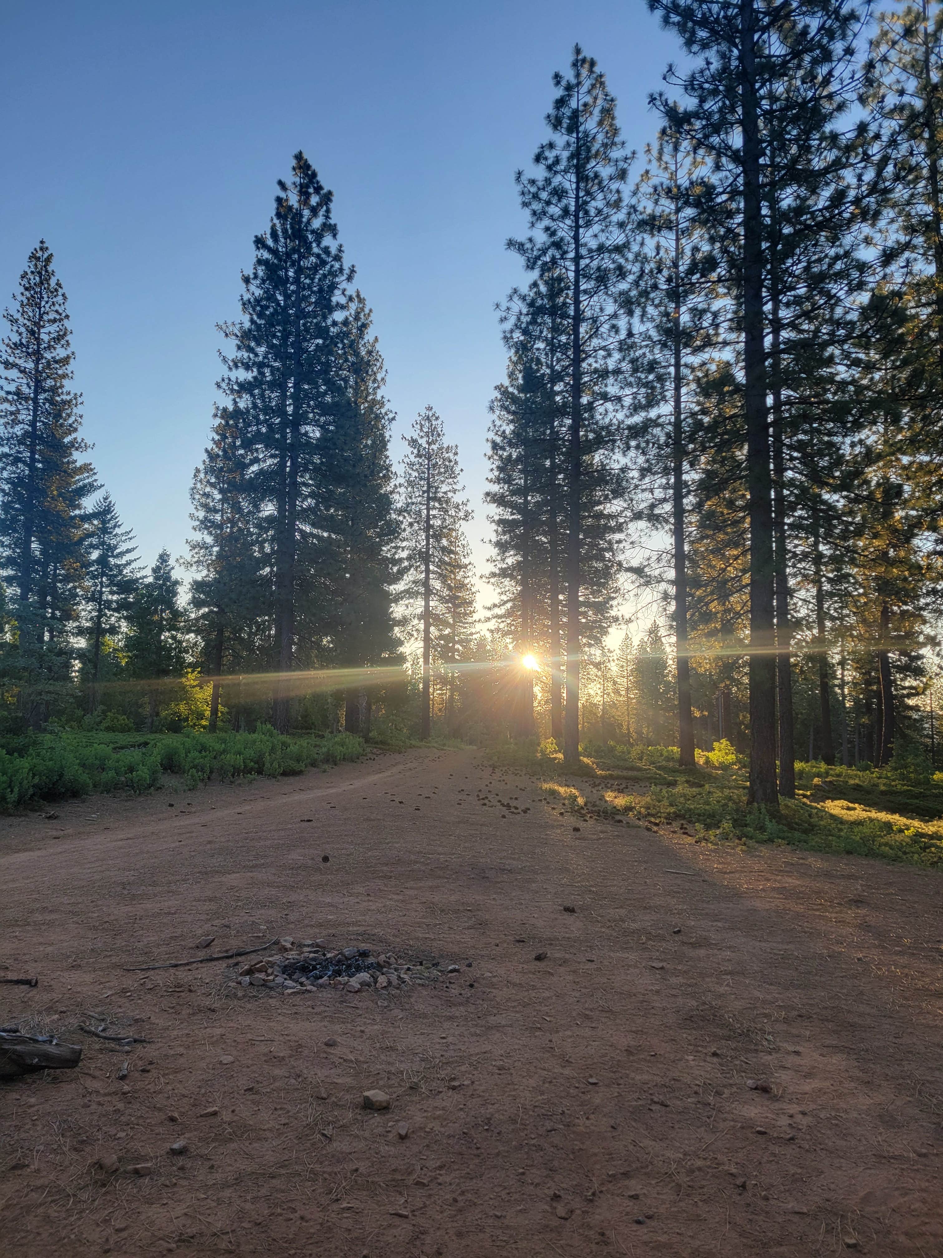 goose10091203's photo of a dispersed camping area at Top of Arnold - FR 5N56 Dispersed near Big Bar, CA