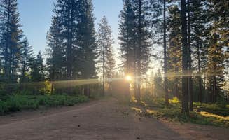 goose10091203's photo of a dispersed camping area at Top of Arnold - FR 5N56 Dispersed near Pioneer, CA