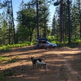 Review photo of Top of Arnold - FR 5N56 Dispersed by goose10091203 , June 13, 2025