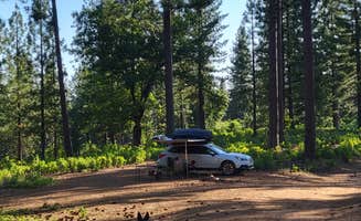 goose10091203's photo of camping with pets at Top of Arnold - FR 5N56 Dispersed near Valley Springs, CA