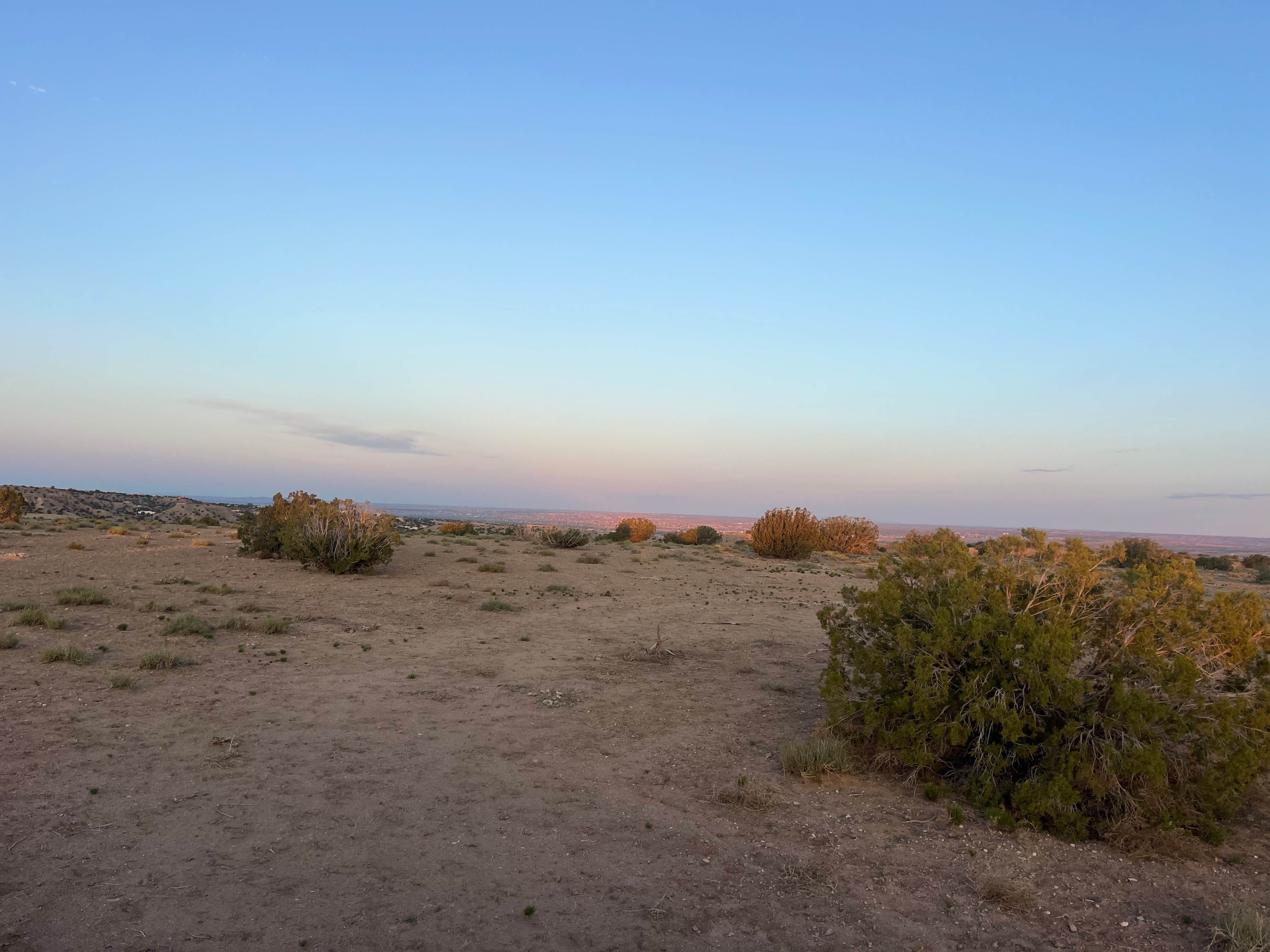 Camper-submitted photo at Top of New Mexico - Dispersed Site in New Mexico