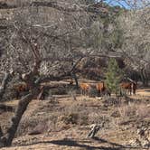 Review photo of Top of New Mexico - Dispersed Site by Brent J., March 22, 2026