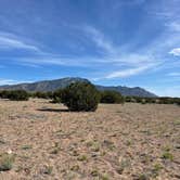 Review photo of Top of New Mexico - Dispersed Site by Mallory W., June 10, 2024