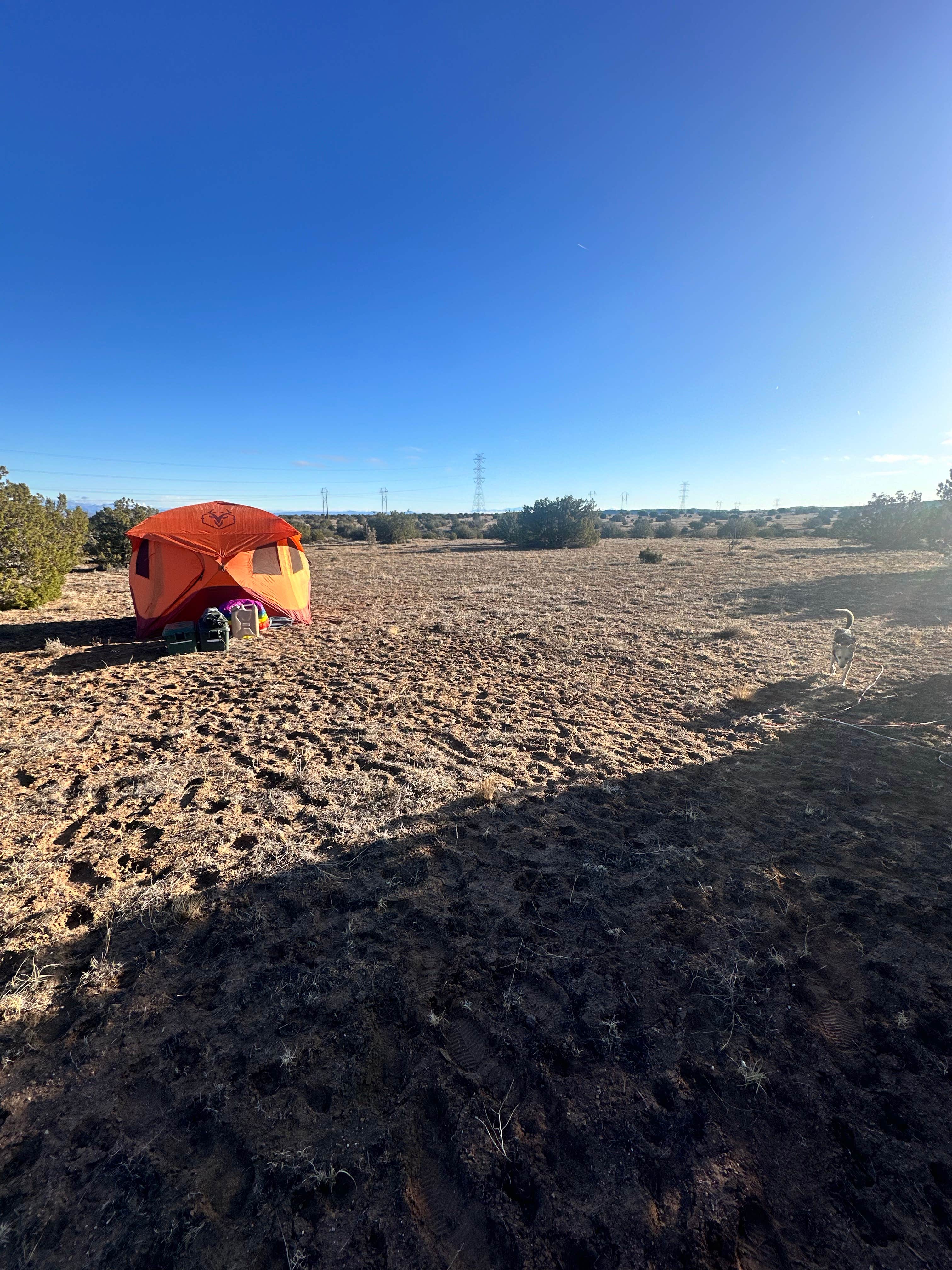 William C.'s photo at Top of New Mexico - Dispersed Site near Tijeras, NM