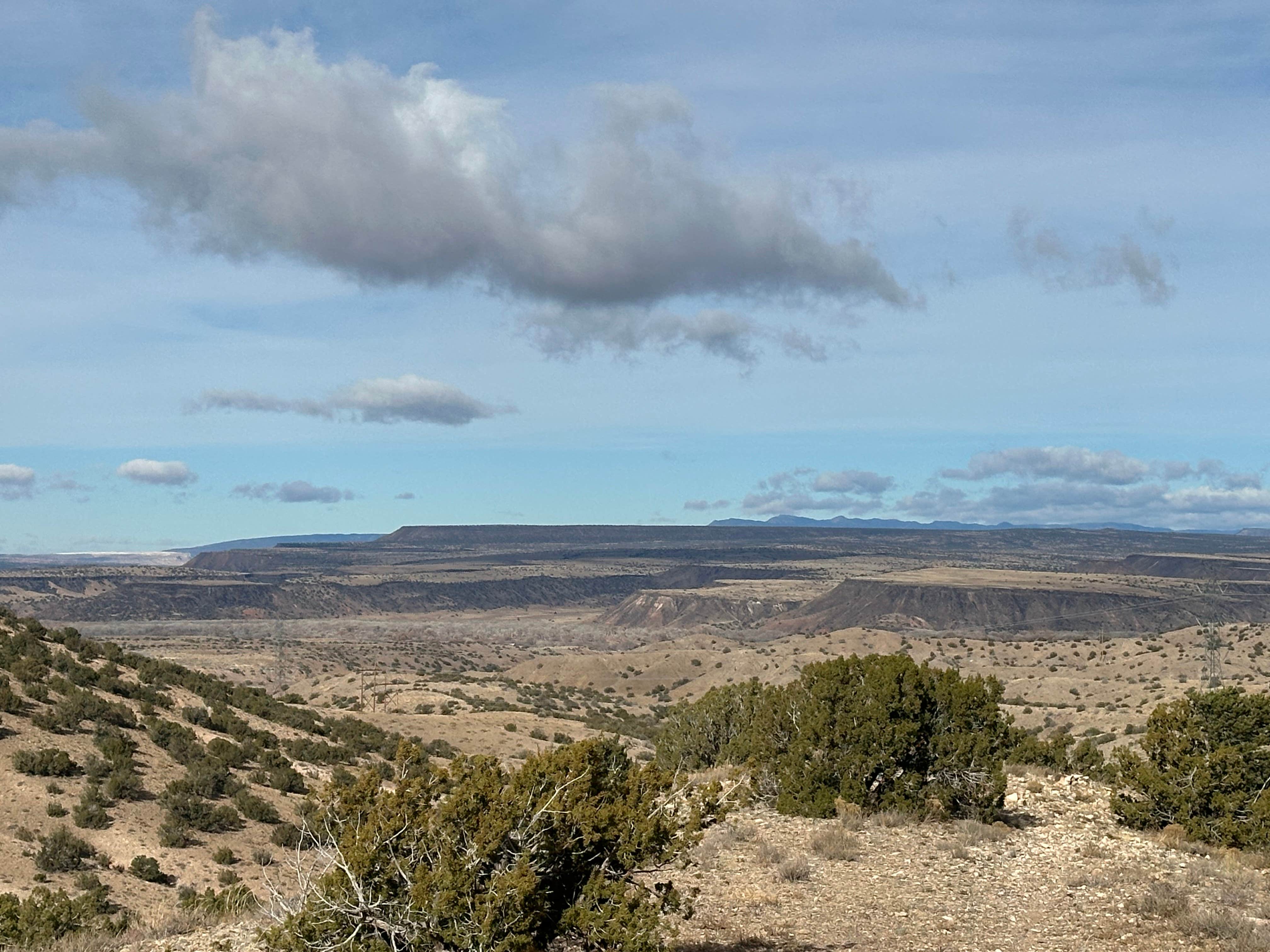 Camper-submitted photo at Top of New Mexico - Dispersed Site in New Mexico