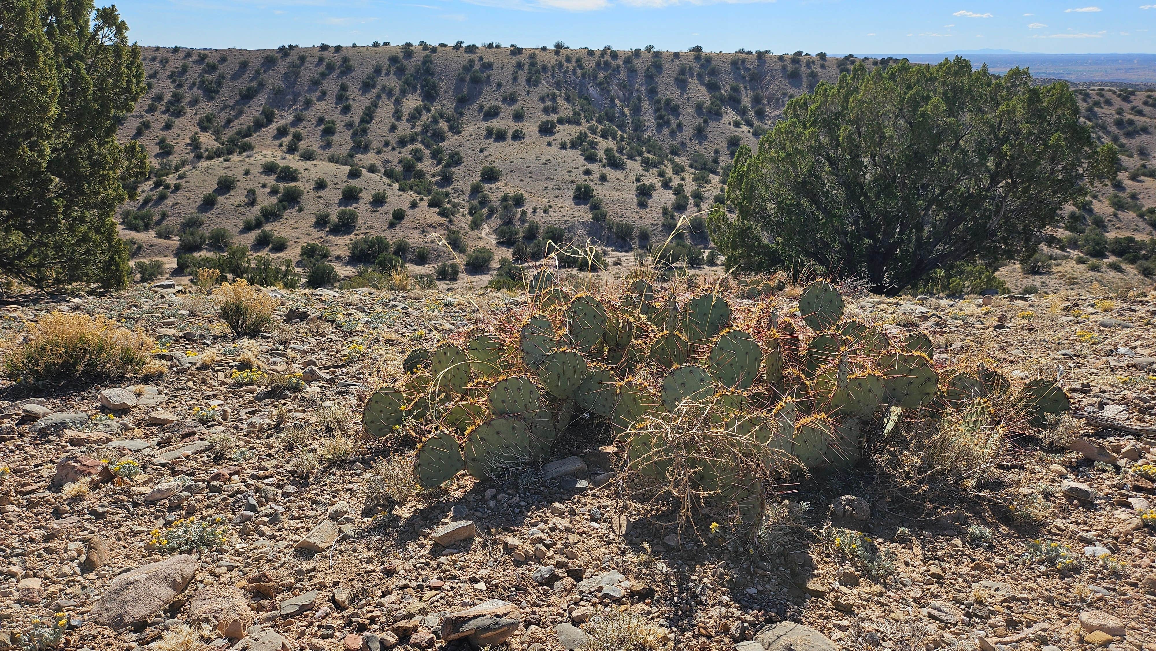 Camper-submitted photo at Top of New Mexico - Dispersed Site near Albuquerque, NM