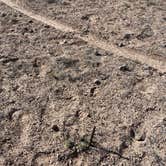 Review photo of Top of New Mexico - Dispersed Site by Mallory W., June 10, 2024