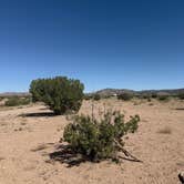 Review photo of Top of New Mexico - Dispersed Site by Jennifer M., April 28, 2025
