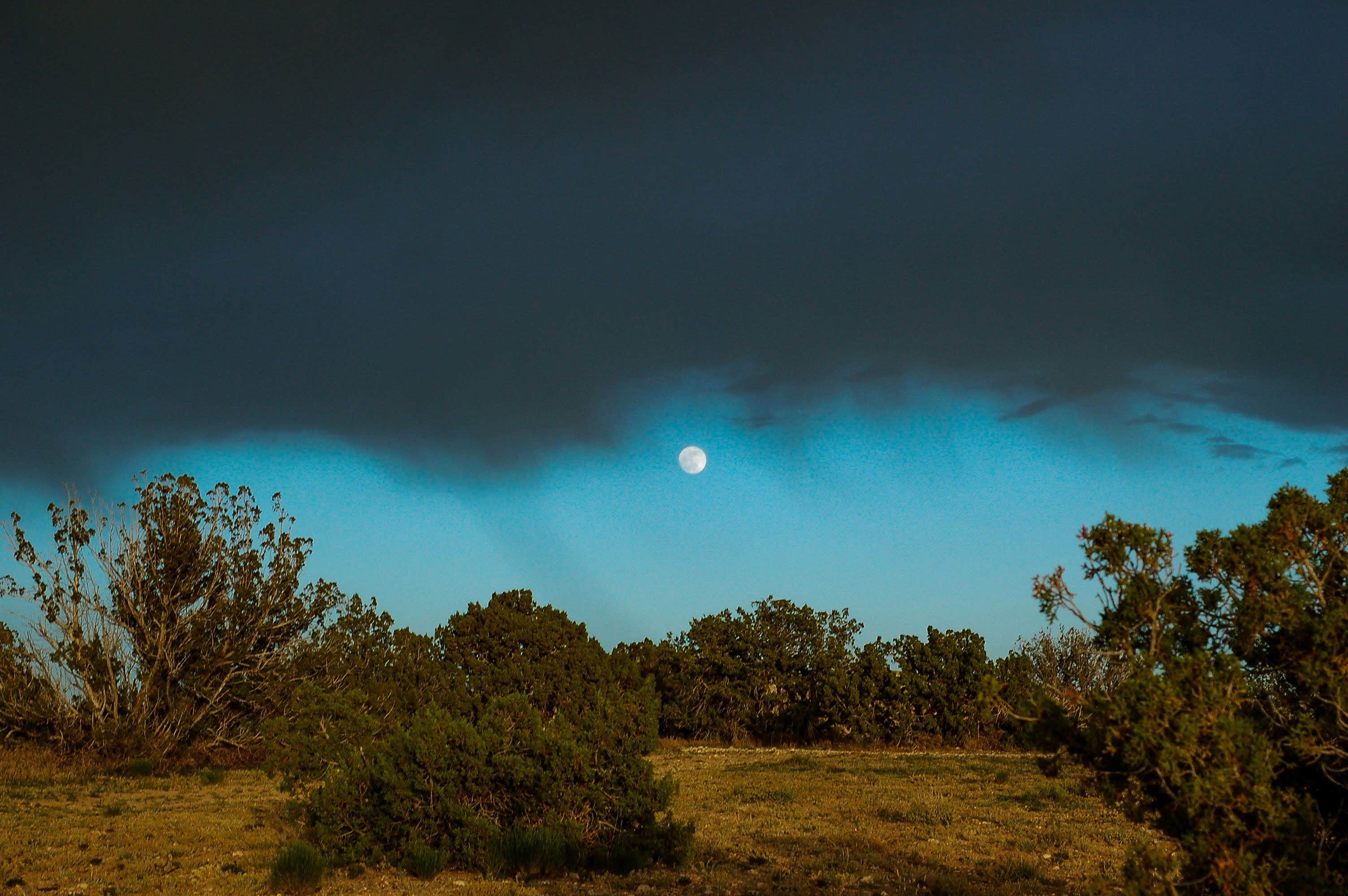 Taylor M.'s photo of a dispersed camping area at Top of New Mexico - Dispersed Site near Pecos, NM