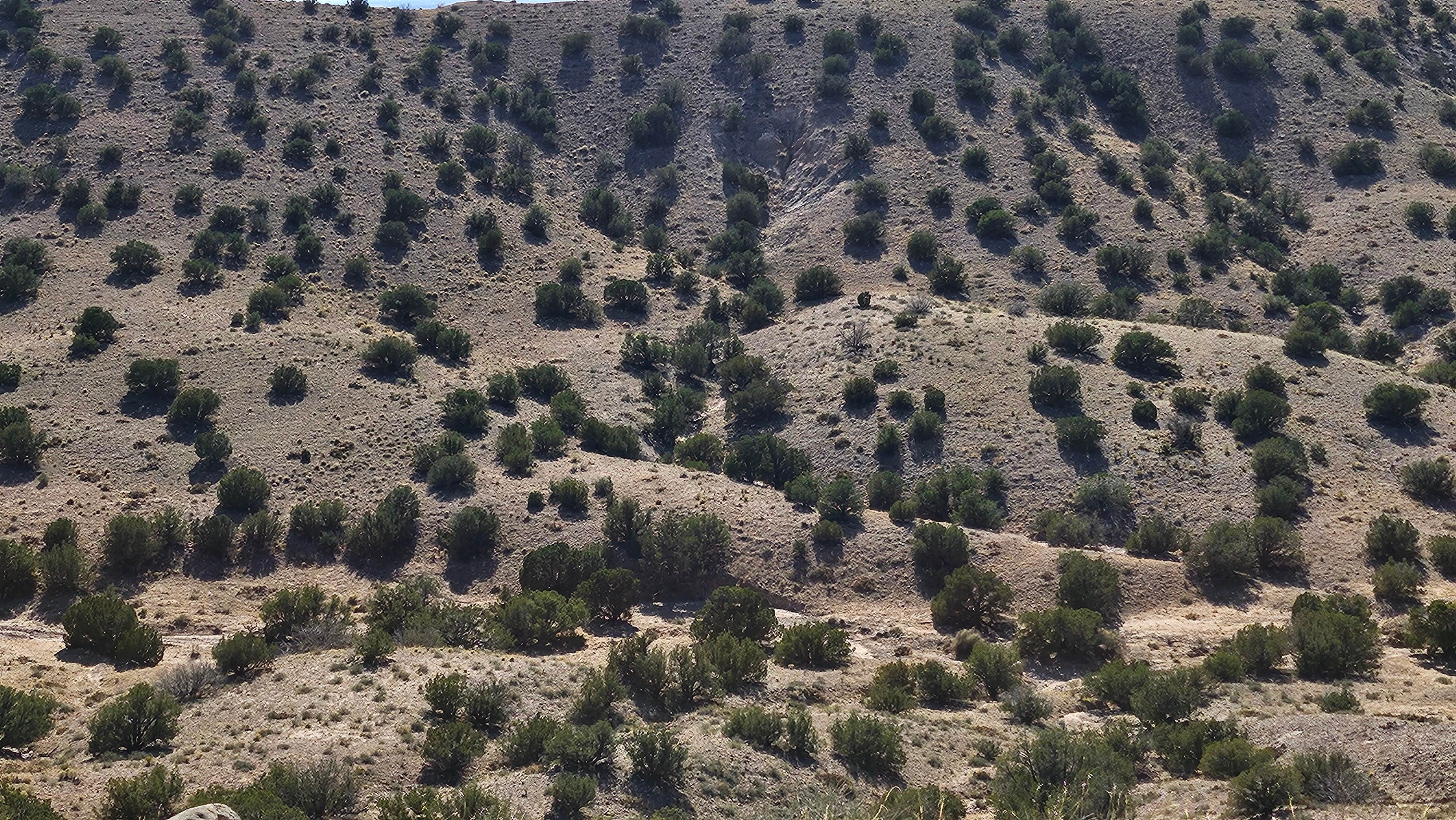 Camper-submitted photo at Top of New Mexico - Dispersed Site near Albuquerque, NM