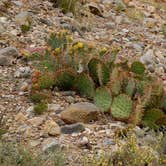 Review photo of Top of New Mexico - Dispersed Site by Taylor M., December 29, 2023