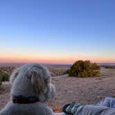 Review photo of Top of New Mexico - Dispersed Site by Elle M., September 2, 2024