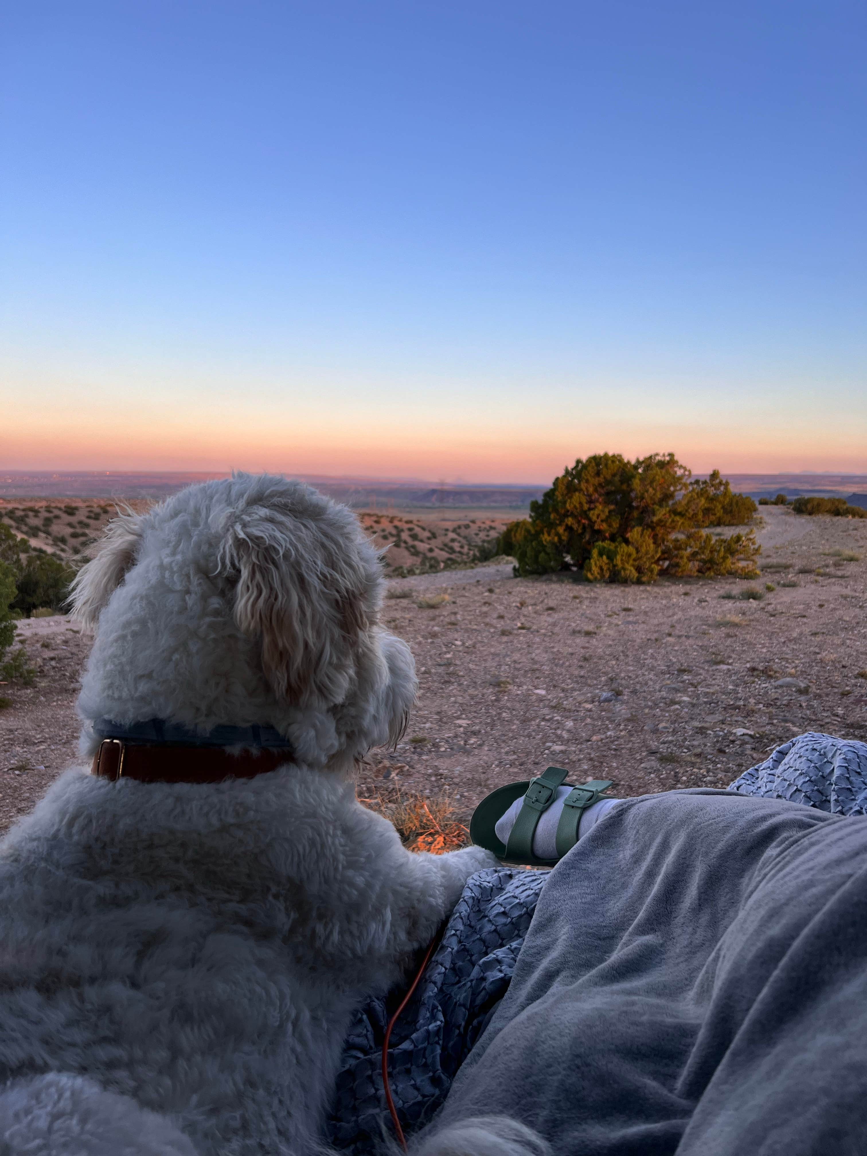 Camper submitted image from Top of New Mexico - Dispersed Site - 4