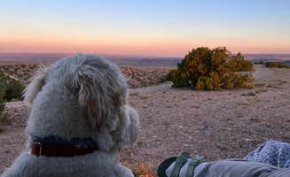 Elle M.'s photo of camping with pets at Top of New Mexico - Dispersed Site near Algodones, NM