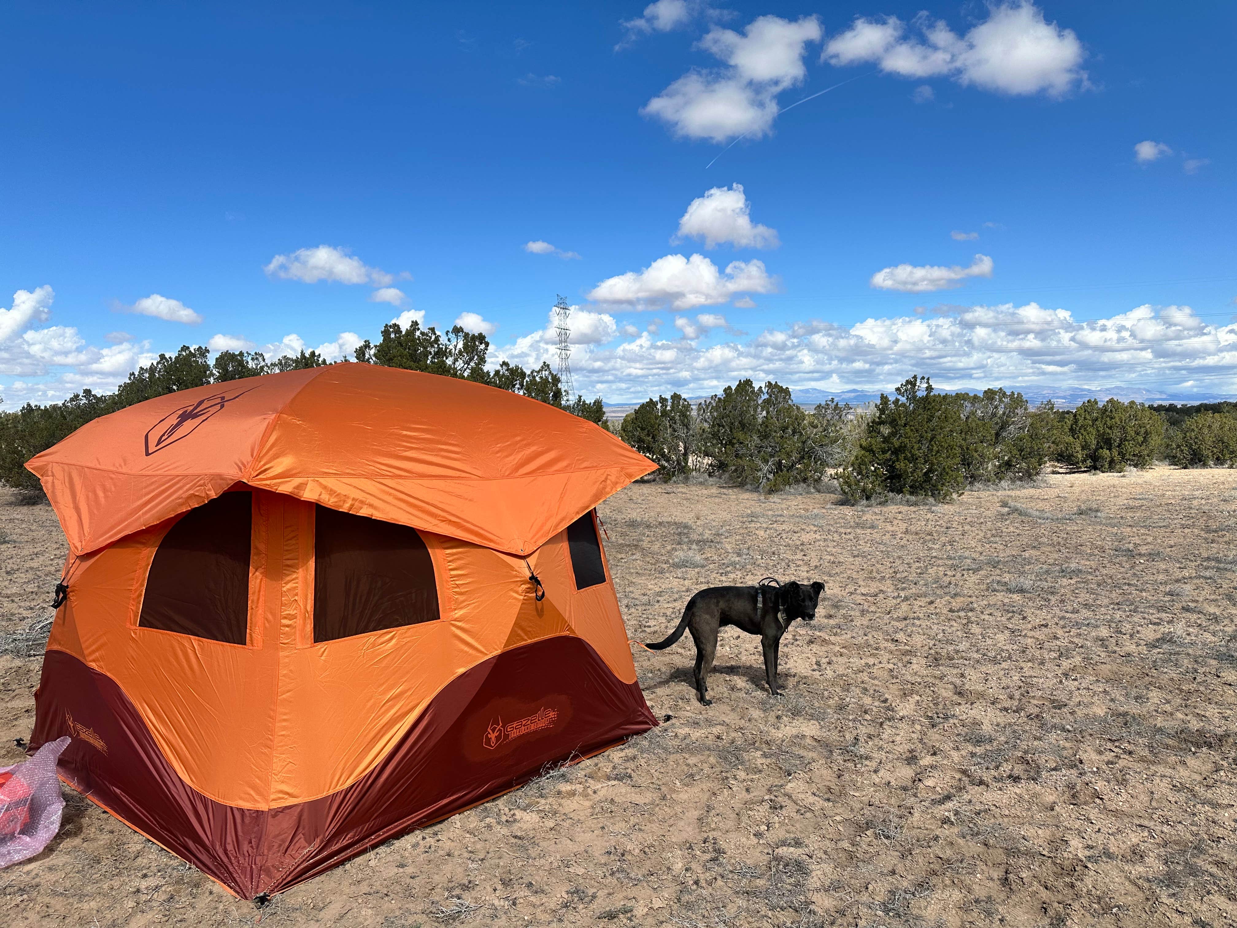 William C.'s photo of camping with pets at Top of New Mexico - Dispersed Site near Rincon, NM