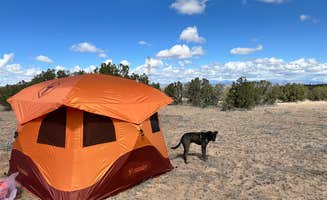 William C.'s photo of camping with pets at Top of New Mexico - Dispersed Site near Tijeras, NM