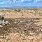 Review photo of Top of New Mexico - Dispersed Site by Elle M., September 2, 2024