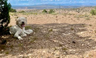 Elle M.'s photo of camping with pets at Top of New Mexico - Dispersed Site near Albuquerque, NM