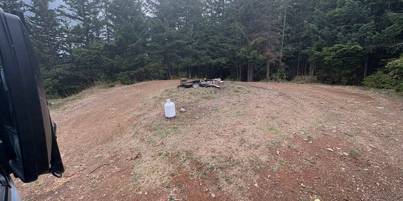 Camper submitted image from Top of the Hill camping