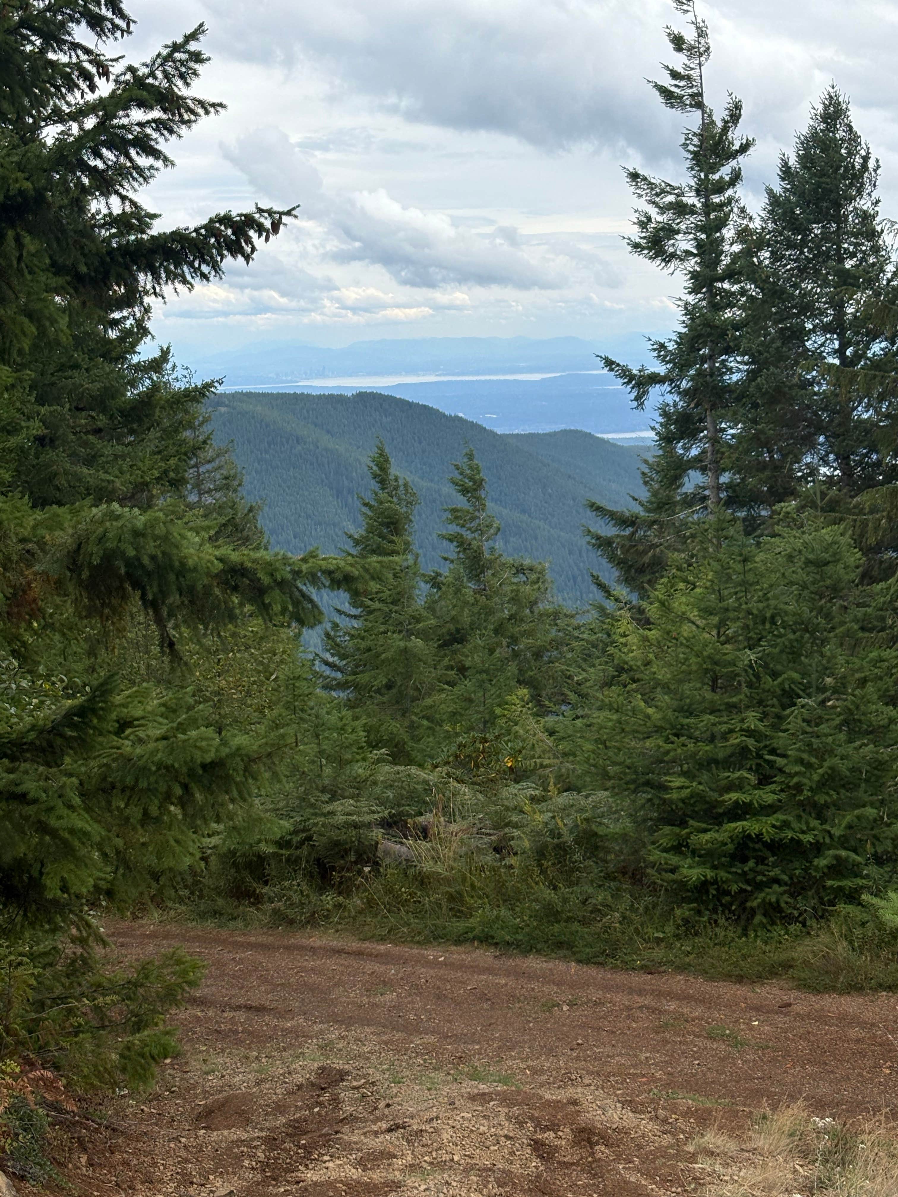 Camper-submitted photo at Top of the Hill camping near Bremerton, WA