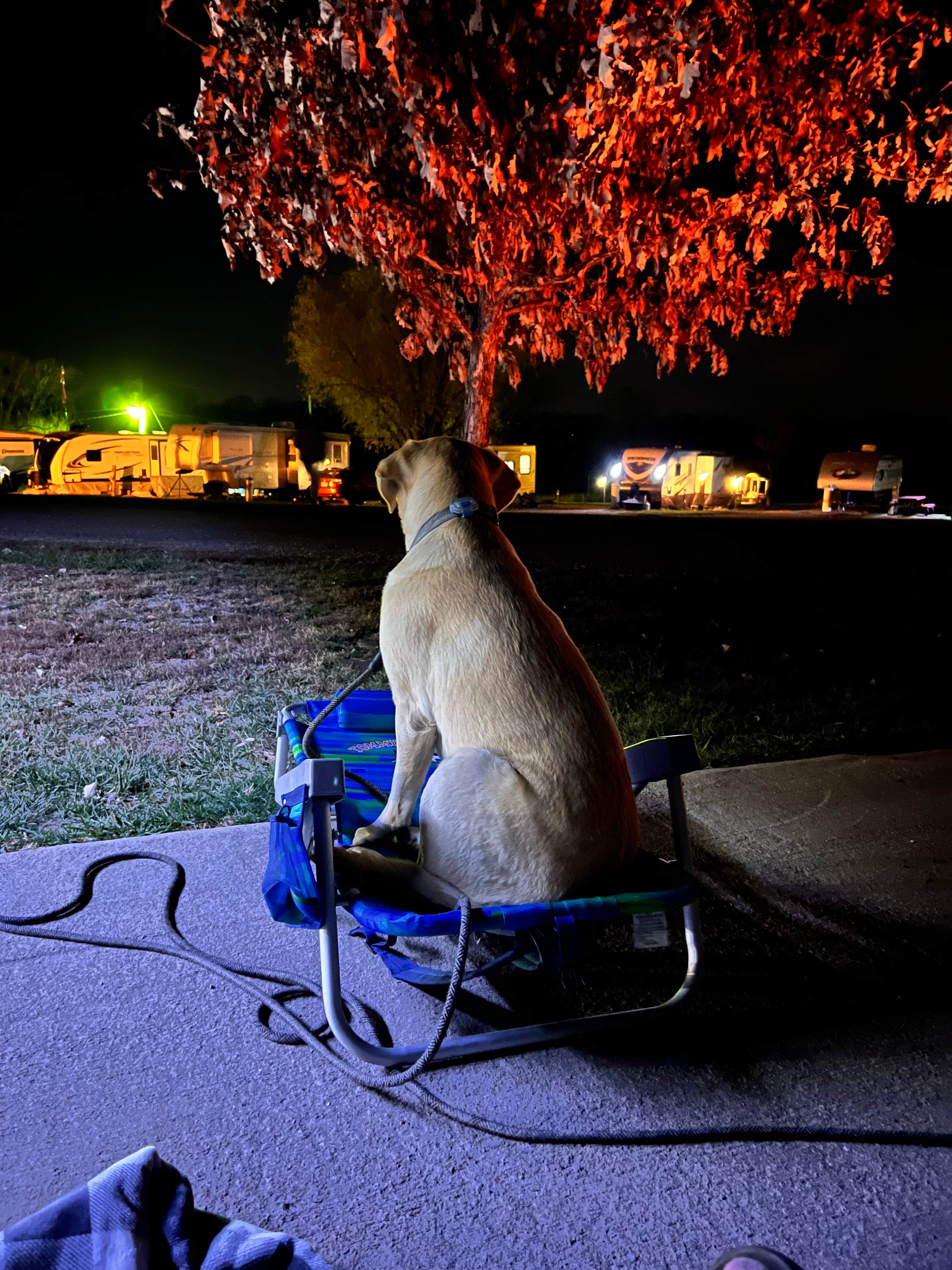 Jennifer N.'s photo of camping with pets at Topeka / Capital City KOA near Topeka, KS
