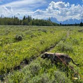 Review photo of Toppings Lake Dispersed Camping by Kyle K., July 9, 2026