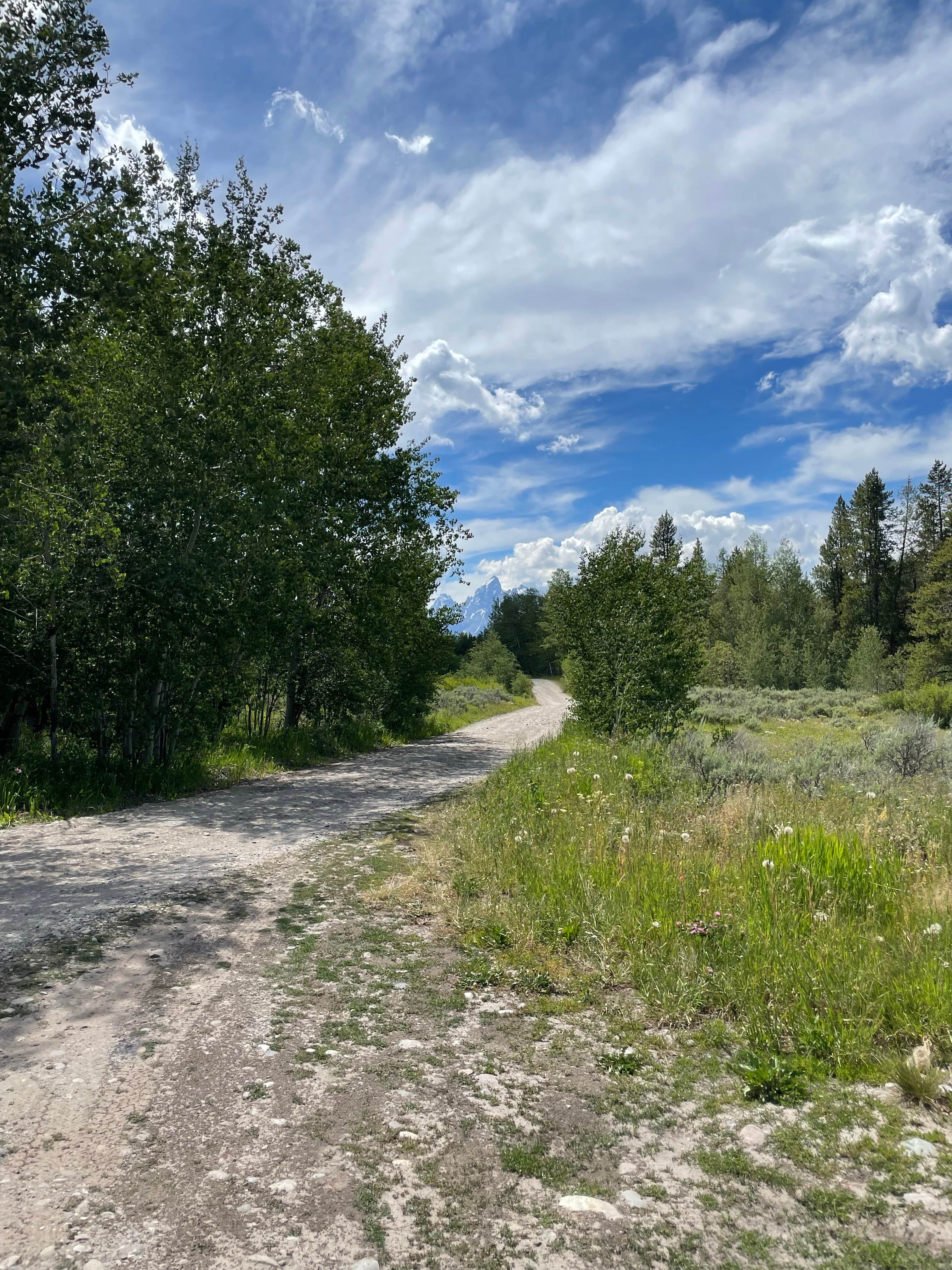 Roads