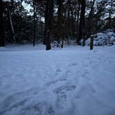 Review photo of Topsail Hill Preserve State Park Campground by Michael D., January 19, 2025