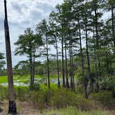 Review photo of Topsail Hill Preserve State Park Campground by Robert K., June 7, 2026