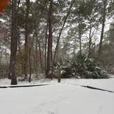 Review photo of Topsail Hill Preserve State Park Campground by Michael D., January 27, 2025