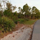 Review photo of Topsail Hill Preserve State Park Campground by Brandi , October 20, 2023