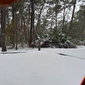 Review photo of Topsail Hill Preserve State Park Campground by Michael D., January 19, 2025