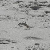 Review photo of Topsail Hill Preserve State Park Campground by Richard F., September 9, 2025