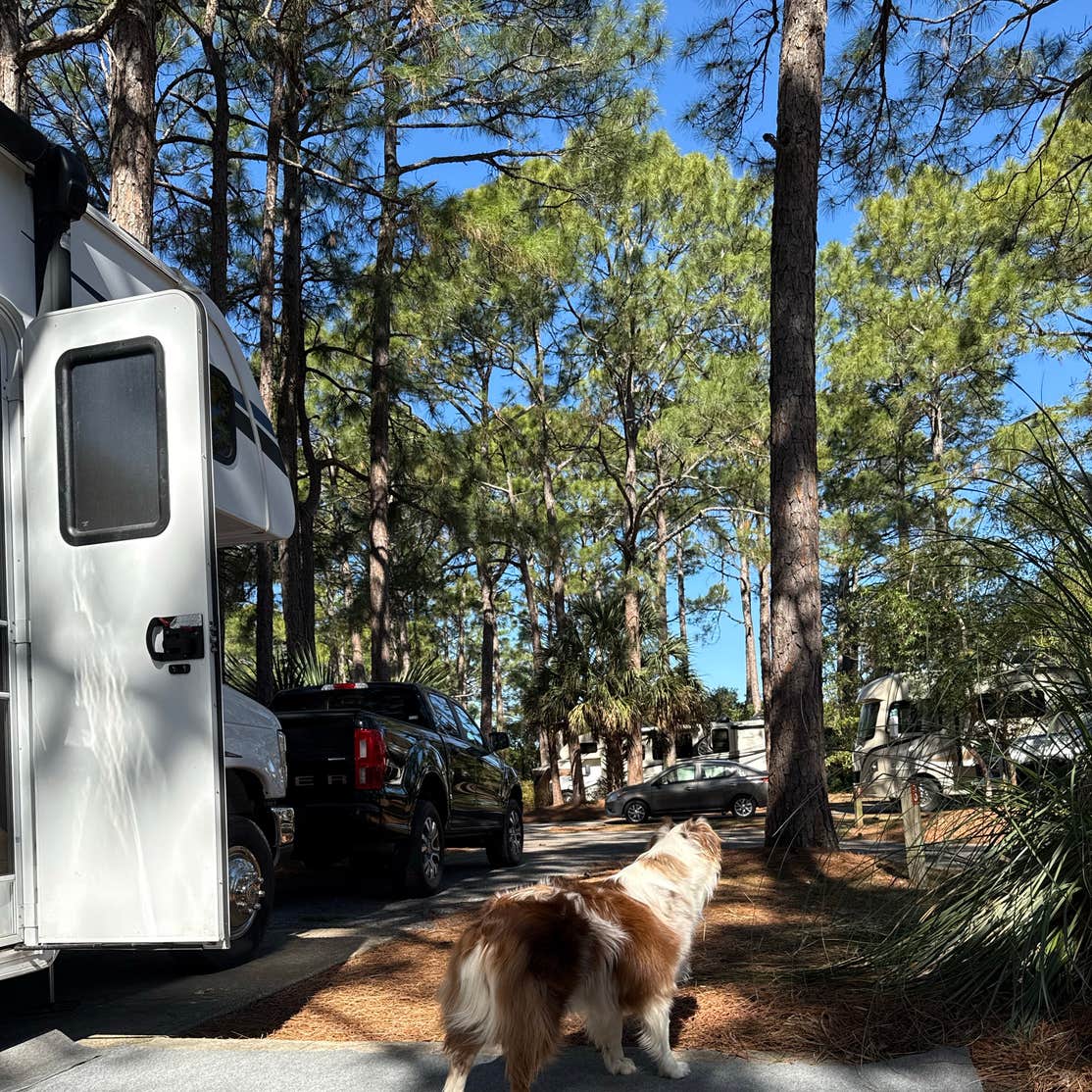 Topsail Hill Preserve State Park Campground | Santa Rosa Beach, Florida