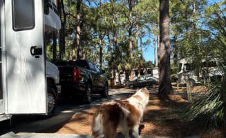 Nickie F.'s photo of camping with pets at Topsail Hill Preserve State Park Campground near Panama City Beach, FL