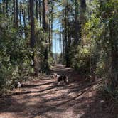 Review photo of Topsail Hill Preserve State Park Campground by Nickie F., March 9, 2025