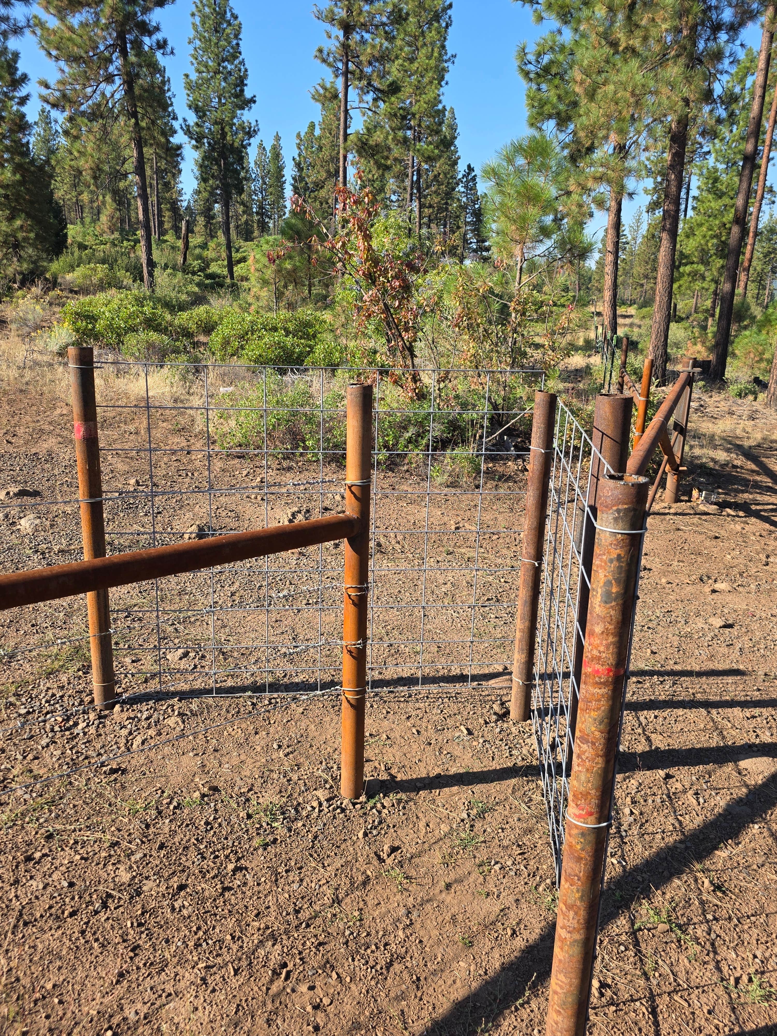 Camper-submitted photo at Topsy Grade Road near Klamath Falls, OR