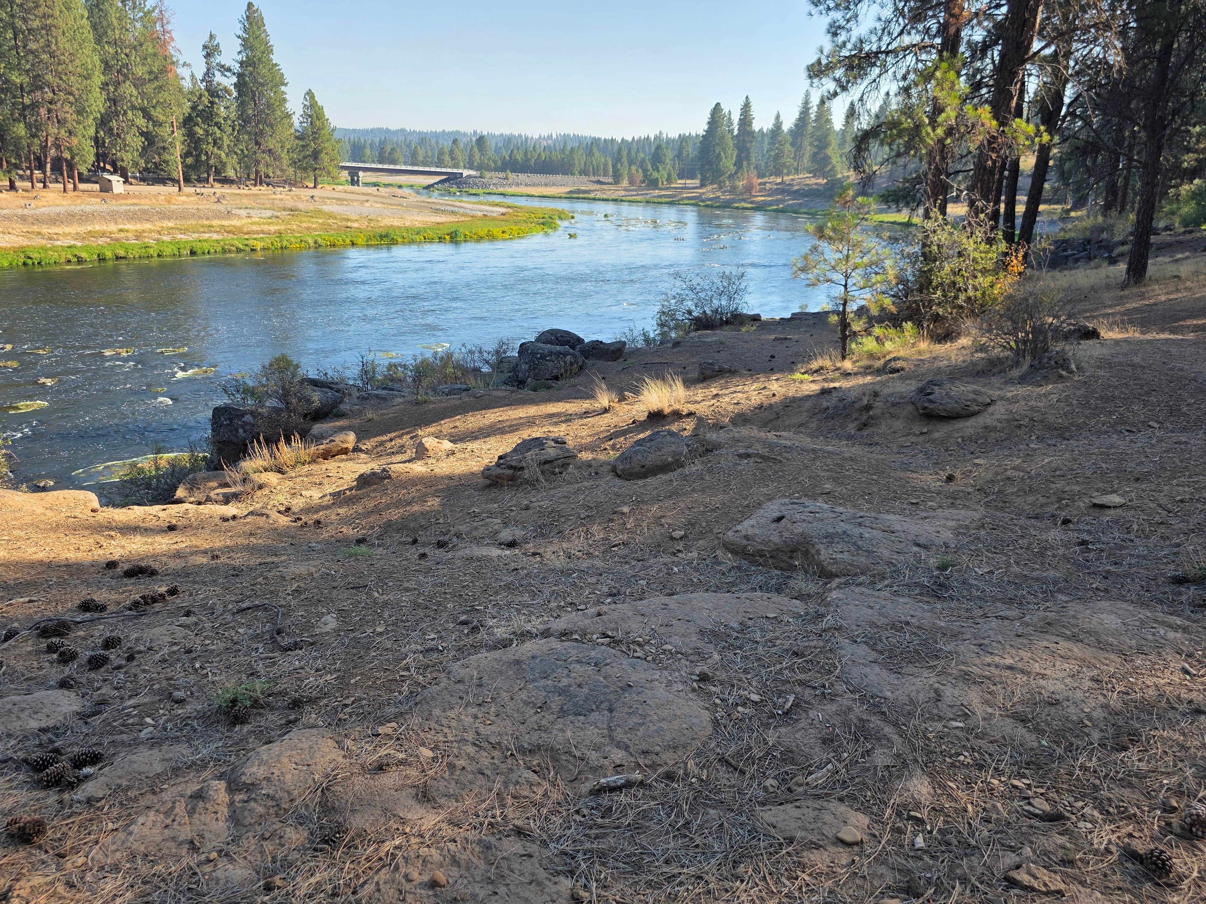 william E.'s photo of a dispersed camping area at Topsy Grade Road near Yreka, CA