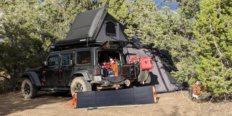 Camper submitted image from Toquima Cave Campground