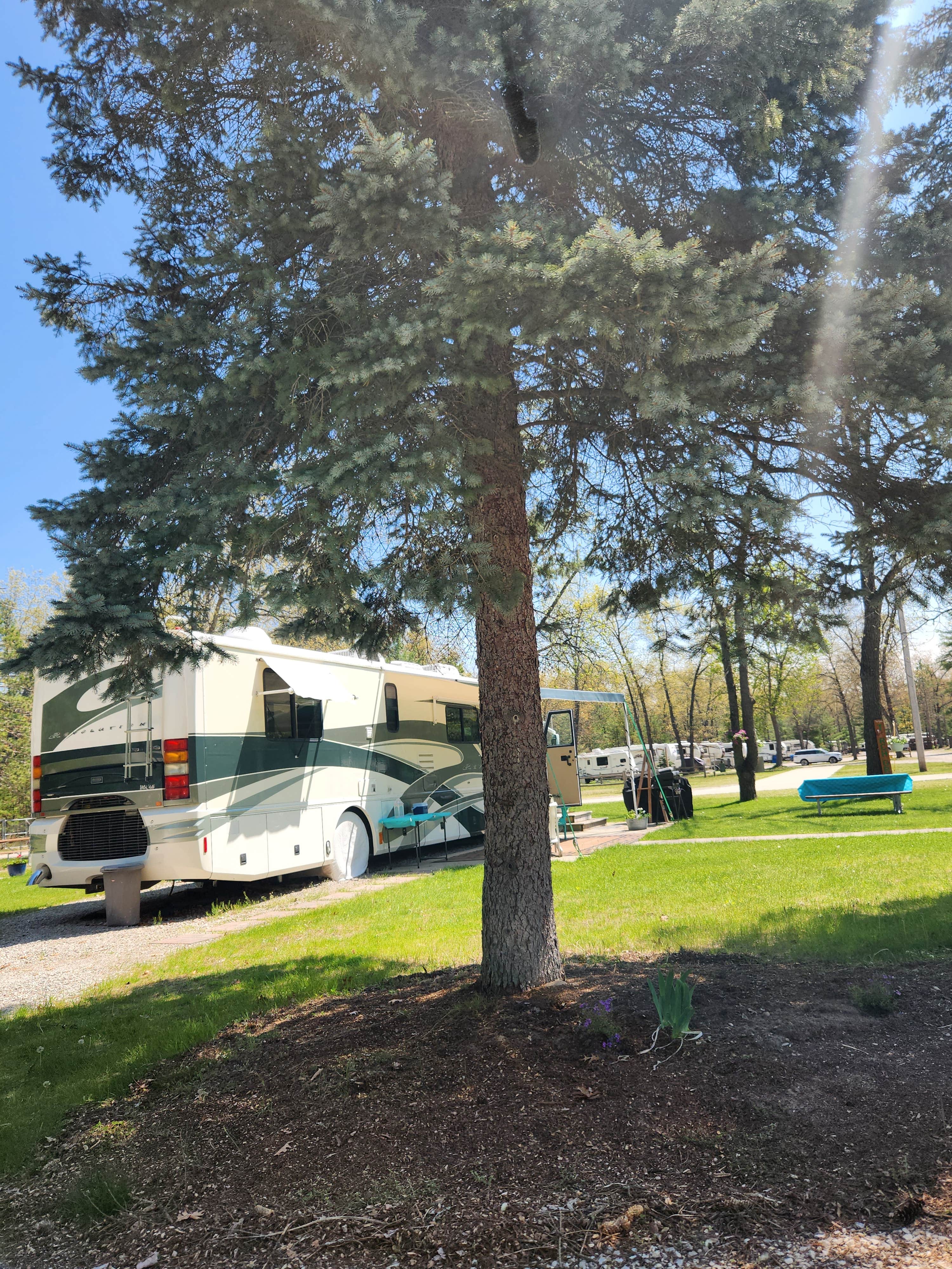 Camper submitted image from Torch Grove Campground - 1