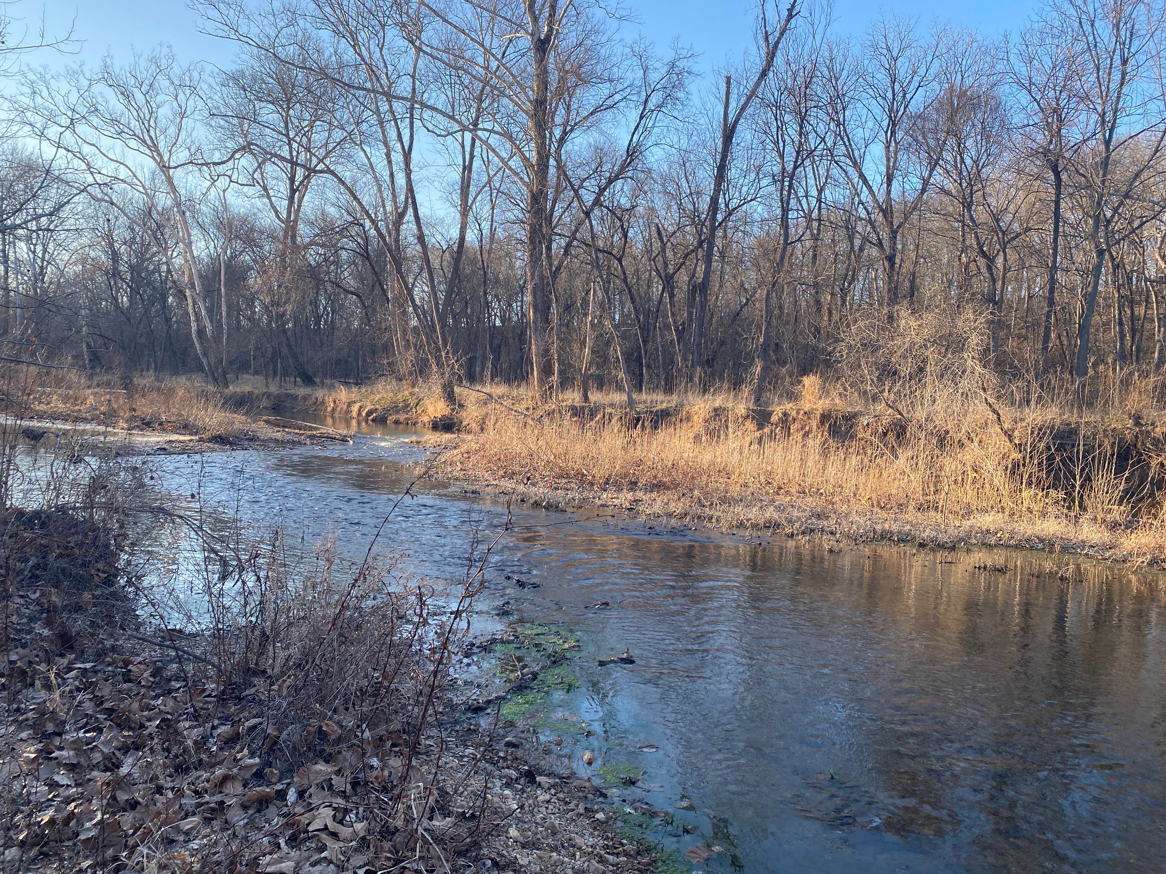 Camper-submitted photo at Toronto Springs Dispersed near Richland, MO