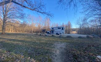 ellen's photo of camping with pets at Toronto Springs Dispersed near Plato, MO