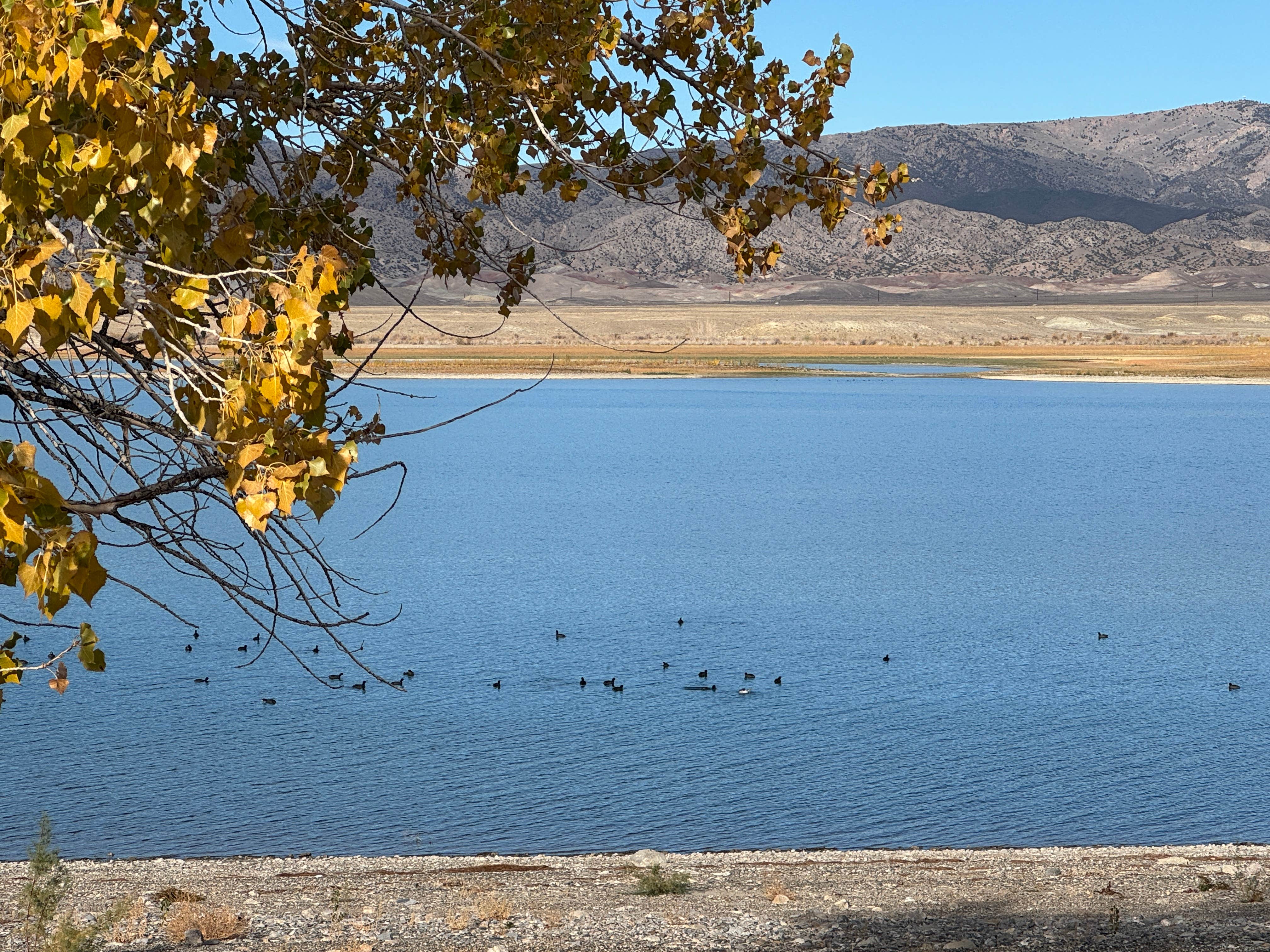 Camper-submitted photo at Tough Creek Campground — Boysen State Park near Shoshoni, WY