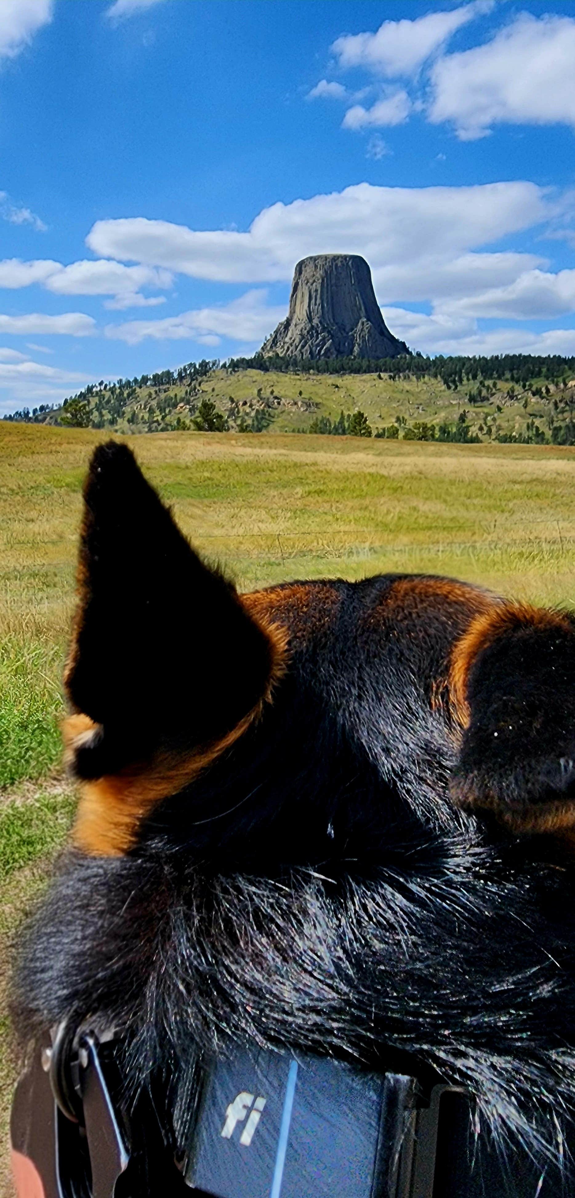 Camper-submitted photo at Tower Valley RV Park near Beulah, WY