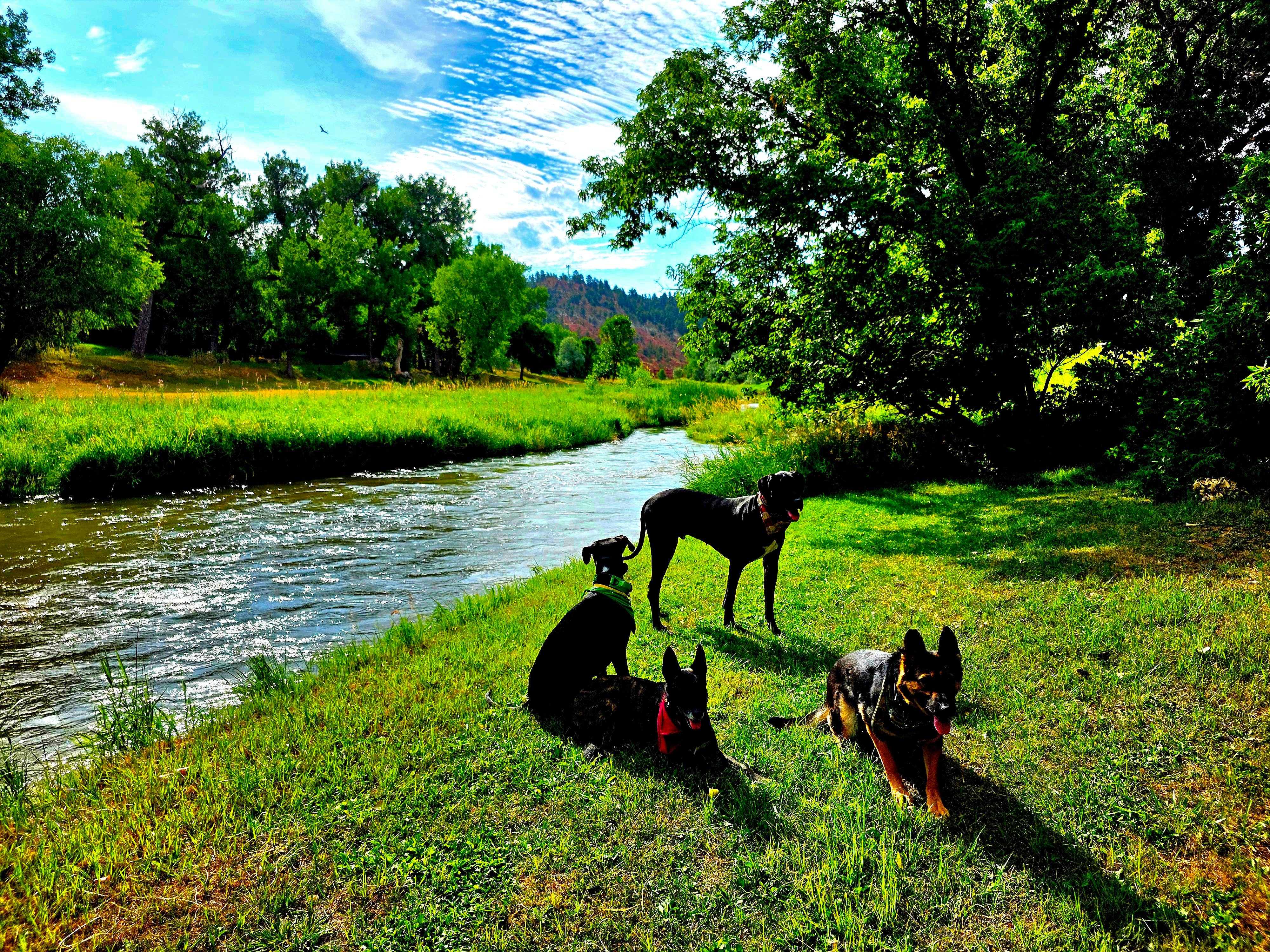 Camper-submitted photo at Tower Valley RV Park near Beulah, WY